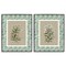 Stupell Industries Green Botanical Patterned Florals 2pc Framed Giclee Set, design by Carol Robinson